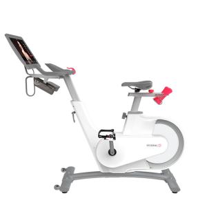Купить Велотренажер Yesoul BV1-W PLUS в Давлеканове 
